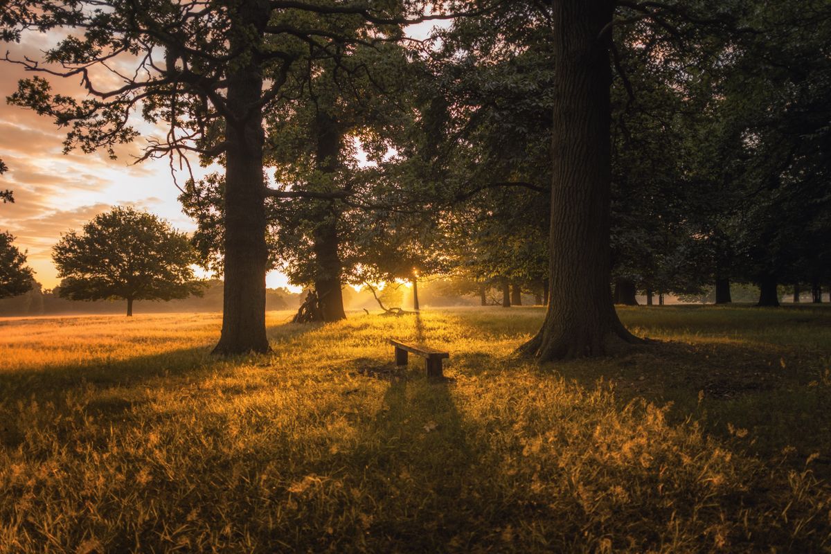 One of many great parks in which to meet your personal trainer in Richmond