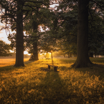 One of many great parks in which to meet your personal trainer in Richmond