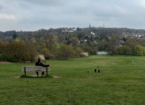 Hampstead Heath