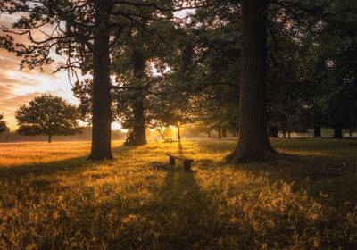 One of many great parks in which to meet your personal trainer in Richmond