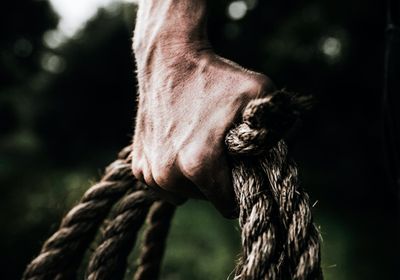 Mark Felix supplements