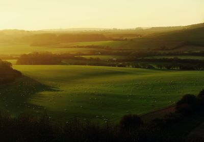 Personal trainers in Basingstoke. 