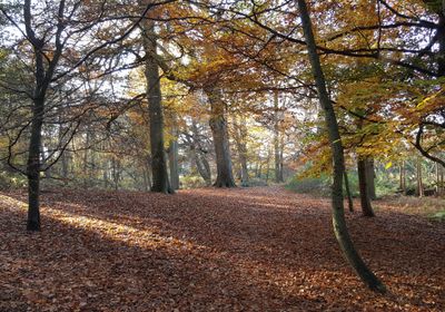 A personal trainer in Bedfordshire. 