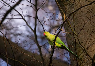 Personal trainers in Croydon. 