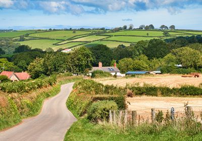 A personal trainer in Devon. 