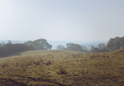 A personal trainer in Essex. 