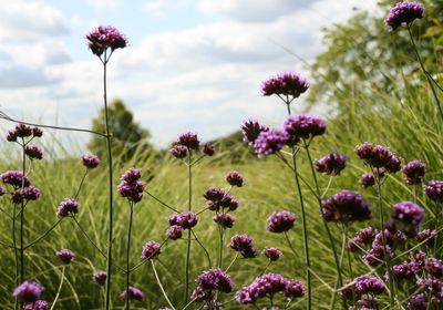Personal trainers in Chelmsford.