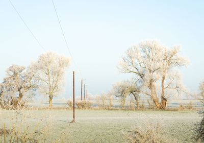 Personal trainers in Warrington