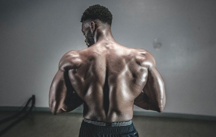 A muscular back
