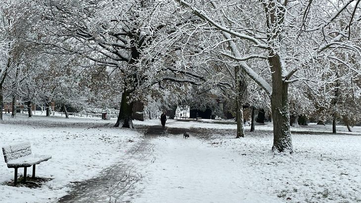 A park near Balham