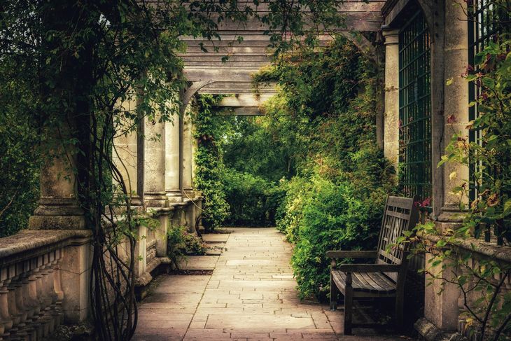 A park in Hampstead