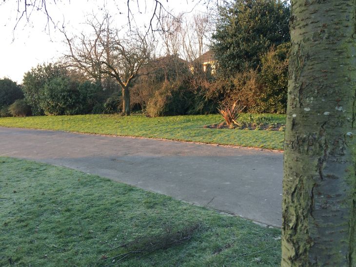 A park in Ilford, London