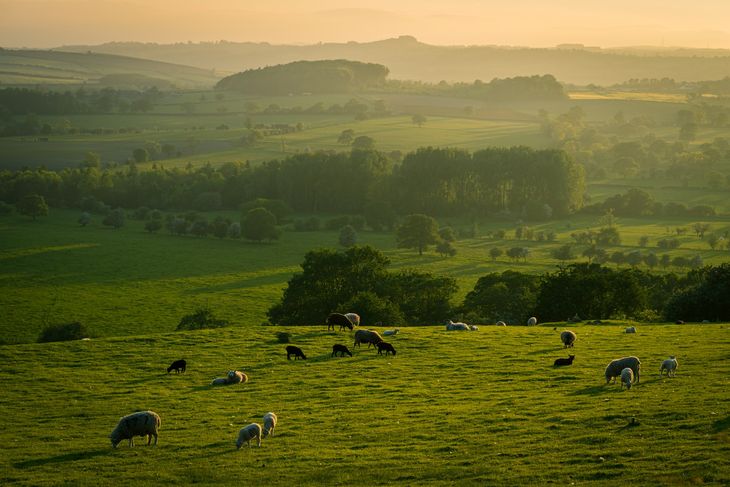 Countryside near Ossett, West Yorkshire.