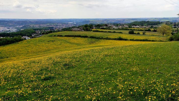 A field near Huddersfield