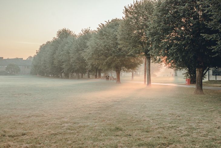 A park in Reading, Berkshire