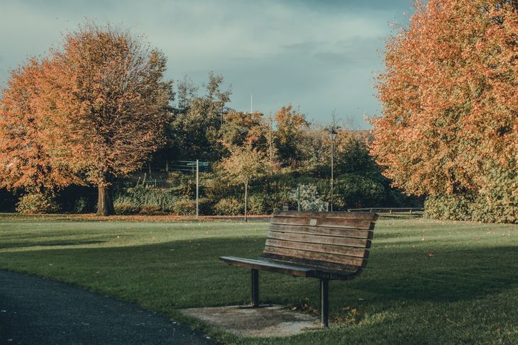 A park bench in Reading, Berkshire