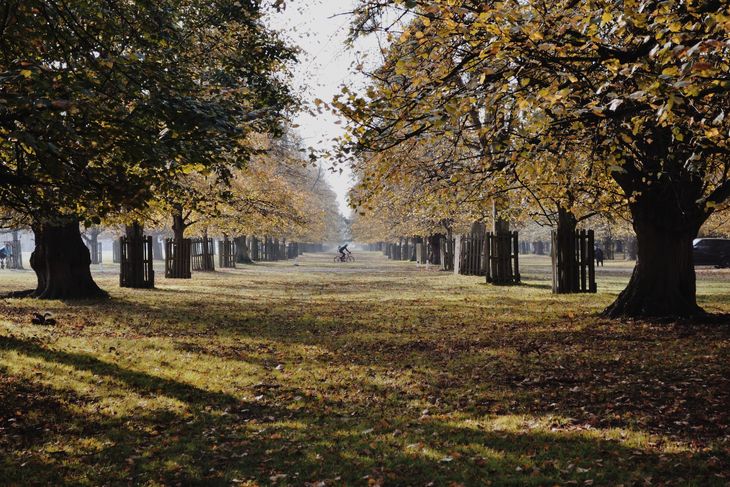 A park near Teddington, Richmond