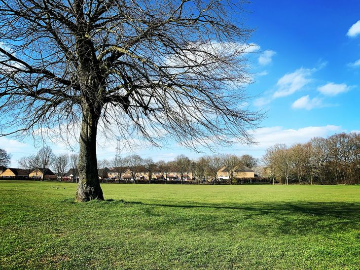 A park in St Albans