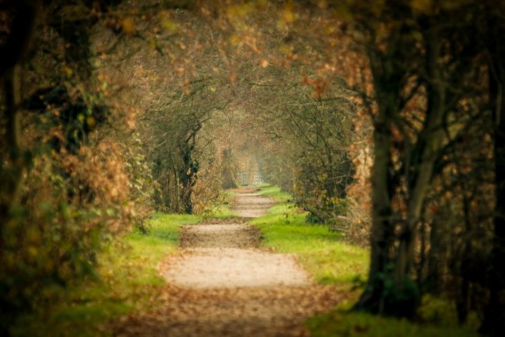 A lane in Warrington