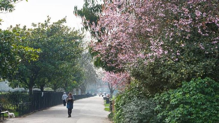 Meet your personal trainer in Fulham for a run around Ravenscourt Park