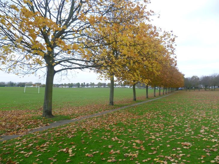 Purley Way, a great place to meet your personal trainer in Croydon.