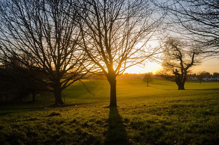 Lloyds Park, an amazing place to meet your personal trainer in Croydon.