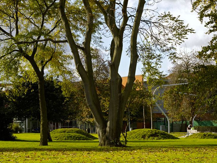 With loads of workout equipment, Normand Park is an ideal place to meet you personal trainer in Fulham.