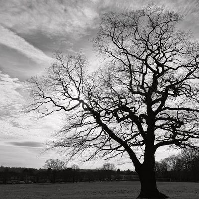 A park near Addiscombe, Croydon