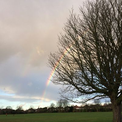 A park near Aldborough Hatch