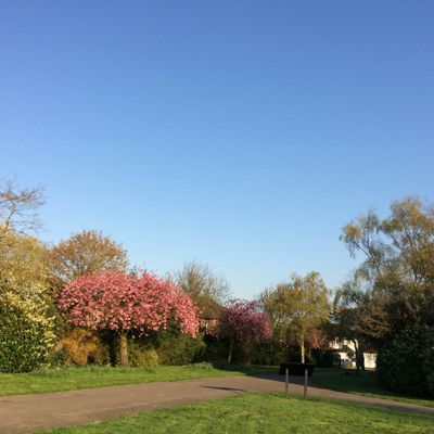 A park near Barkingside