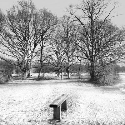 A park near Beddington Cornder