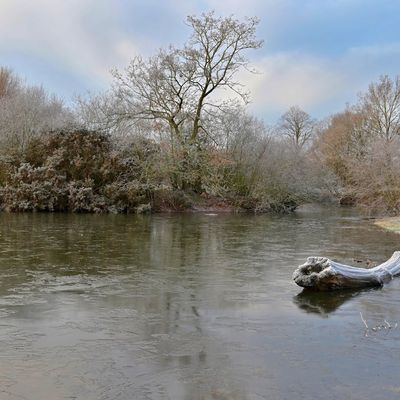 A frozen pond near Beddington