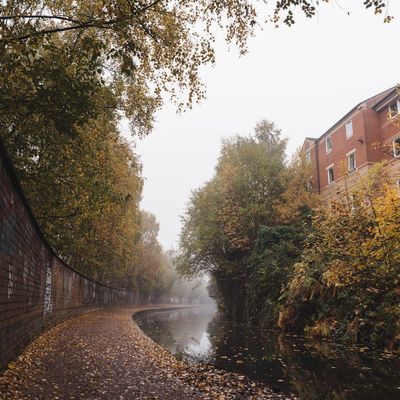 A canal and path near Brownhills, West Midlands