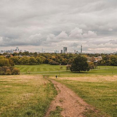 A park near Bushey Meads
