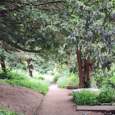 Canons Park