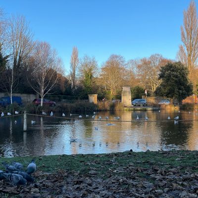 A park near Carshalton Beeches