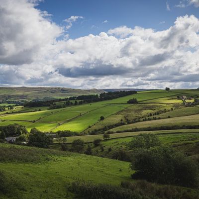 Countryside near Chadderson