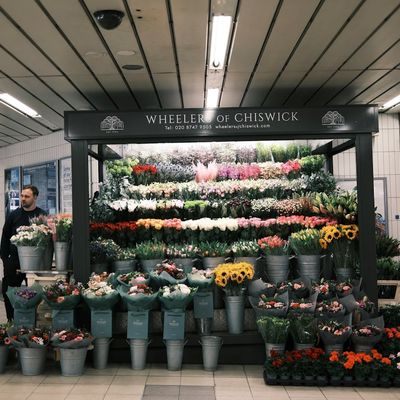 A florist in Chiswick
