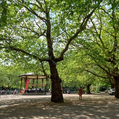 A park in Clapham