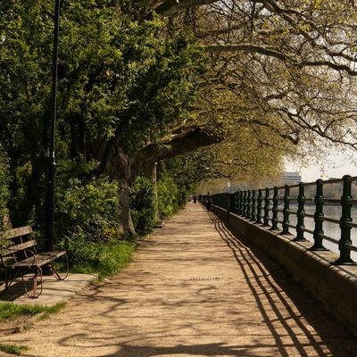 A path near College Park, London