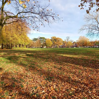 With loads of parks like this, there are loads of great places to meet your personal trainer in Croydon. 