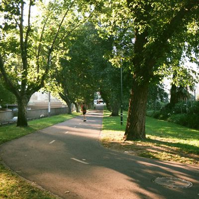 A wooded path in Croydon