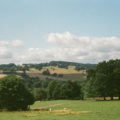 Countryside near Dinnington