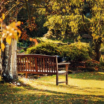 A park near Ditton
