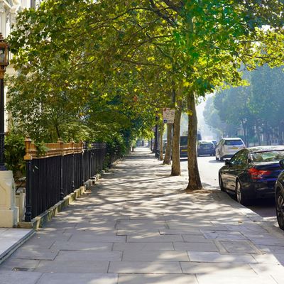 A leafy London street