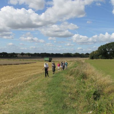 Fields near Faversham
