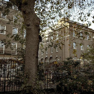 A leafy street in London