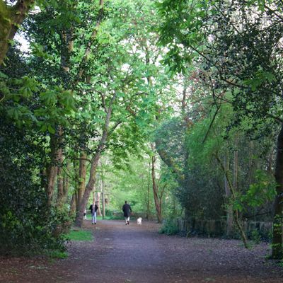 Waltham Forest