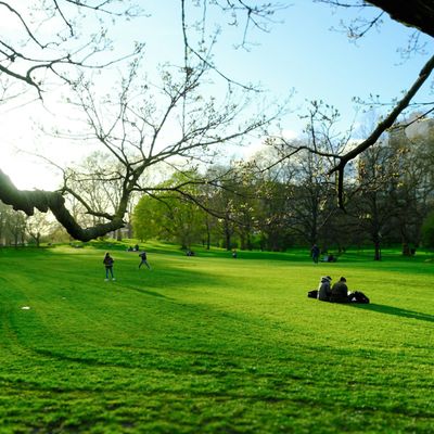 Green Park