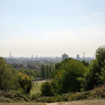 Views of central London from a park